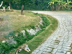 -深圳野生动物园