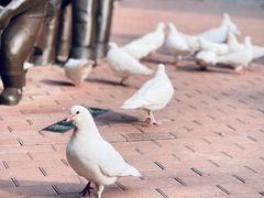 -王府井奥莱临潼小镇(临潼店)