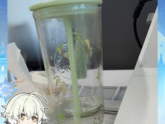 -品质伊骊新疆菜(紫金店)