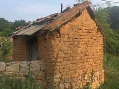 -鲁山国家森林公园