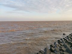 -南汇嘴观海公园