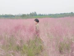 -郑东新区龙湖公共艺术中心