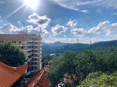 -深圳仙湖植物园