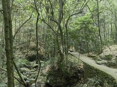 -大余丫山旅游度假区