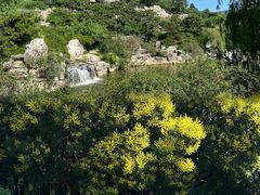 -北京西山国家森林公园