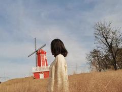 -羊亭河湿地公园