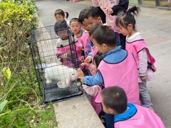 -黄浦乐烁龙鱼宝贝托育园(海潮路校区)