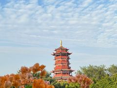 -厦门园林博览苑