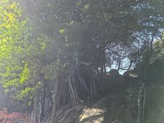 -乌山风景区