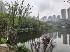 -重庆彩云湖湿地公园