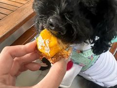 -沁蝶 Butterfly Patisserie甜品蛋糕(北京瑰丽酒店)
