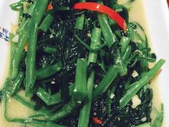 -南拳十三姨·潮汕砂锅粥(世纪金源店)