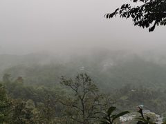 -南山植物园