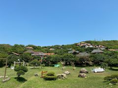 -杨梅坑