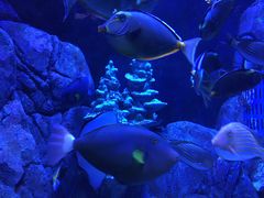 -成都浩海立方海洋公园