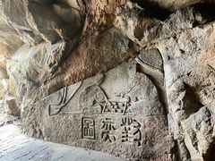 -大金鹰园