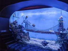 -太平洋海底世界