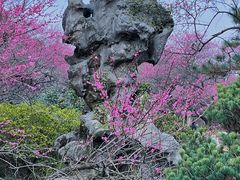 -杭州植物园