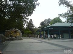 -紫竹院公园冰场