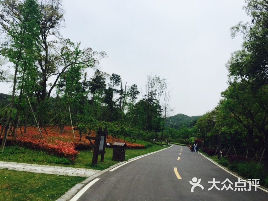 梁希森林公园-图片-湖州周边游-大众点评网
