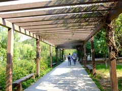-白马涧龙池景区