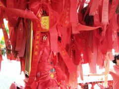 -陕西省红河谷森林公园