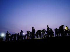 -春花秋色城市公园