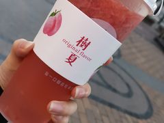 -树夏(建设路店)