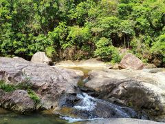 -广州白江湖森林公园