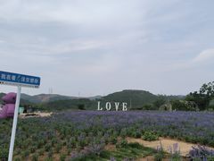 -薰衣草NE庄园