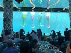 -瑞德姆美人鱼海底演艺主题餐厅(亚龙湾店)