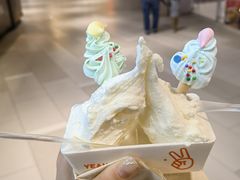 -野人先生现做冰淇淋(北京环宇荟店)