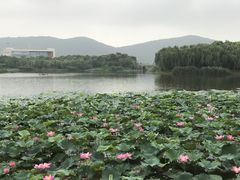 -江南大学(蠡湖校区)