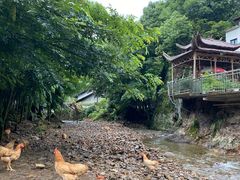 -水墨汀溪风景区