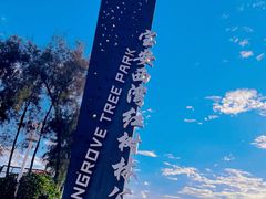 -宝安西湾红树林湿地公园