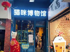 -猫咪博物馆(顶澳仔猫街店)