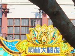 -西双版纳原始森林公园