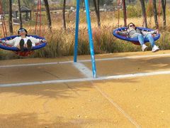 -羊亭河湿地公园