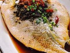 -隐山栖(鸿泰佳园店)