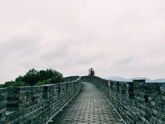 -黄贤森林公园