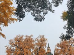 -北京石刻艺术博物馆(五塔寺)