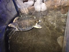 -青岛海底世界-水族馆