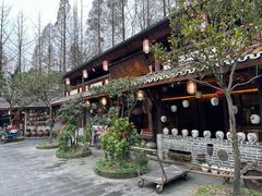 -青城甲(青城山店)