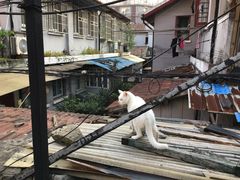 -猛犸手作·皮具·diy团建·礼品定制(新华路店)