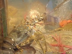 -蚝乡农庄(铁涌赤岸店)