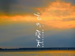 -漕湖湿地公园
