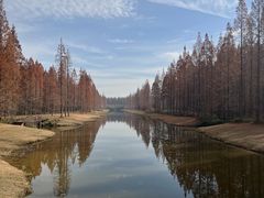 -黄海国家森林公园