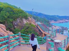 -广东惠东海龟国家级自然保护区