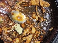 -天天鱼港·海鲜·鲅鱼水饺·招牌烤鸭(黄骅店)