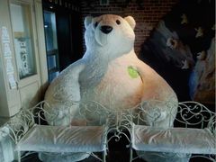 -济州岛泰迪熊博物馆